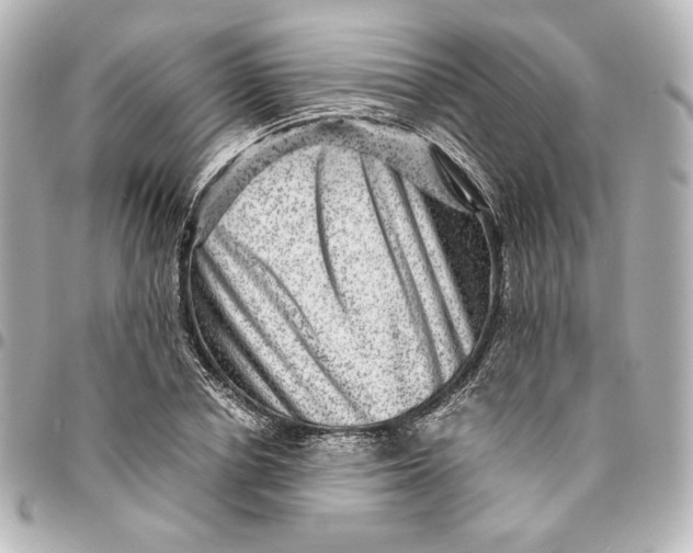 X0000094950834200712201136