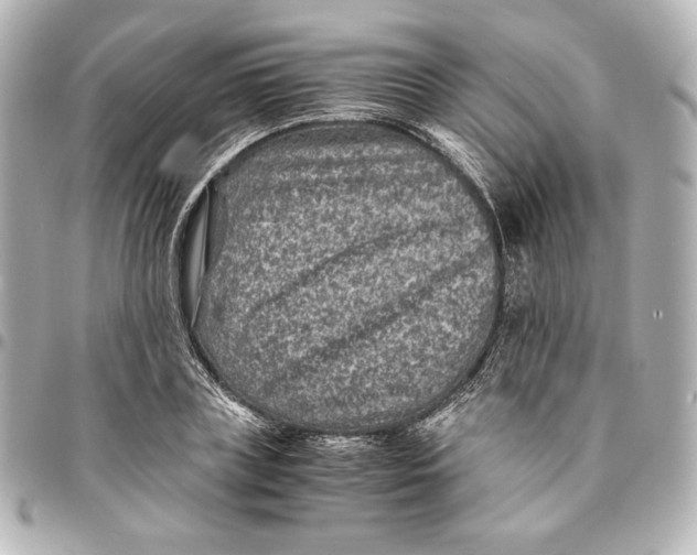 X0000094950835200712201136