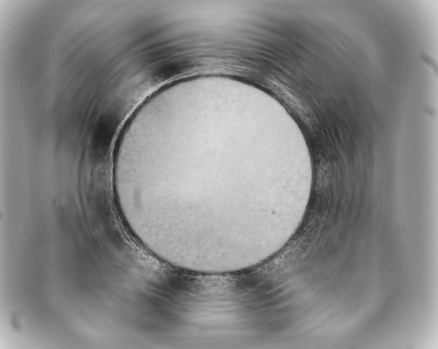 X0000094950836200712201136