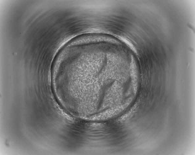 X0000094950839200712201136