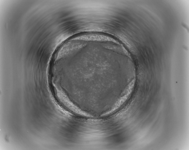 X0000094950840200712201136