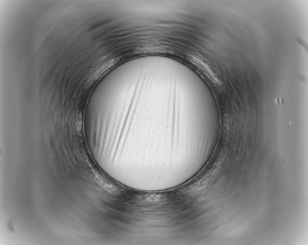 X0000094950841200712201136