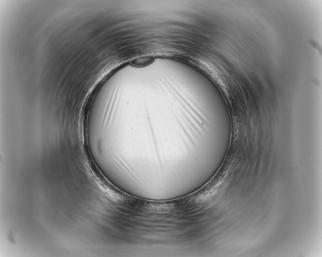 X0000094950843200712201136