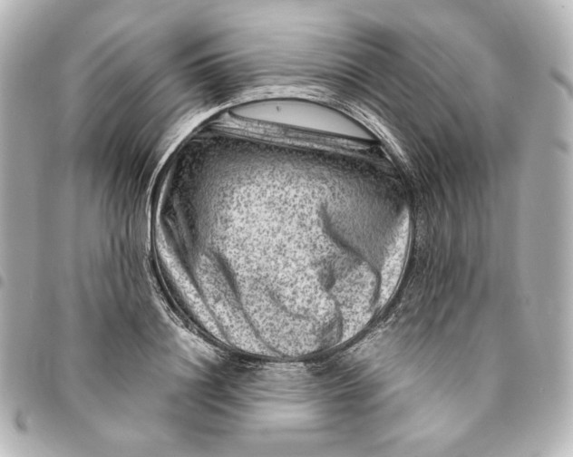 X0000094950844200712201136