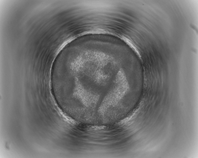 X0000094950845200712201136