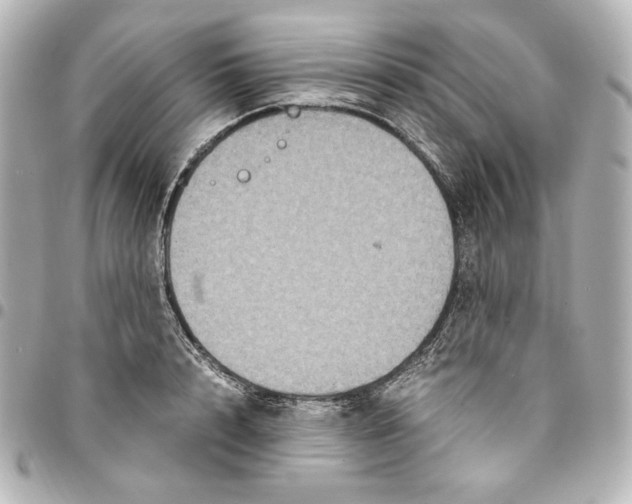 X0000094950848200712201136