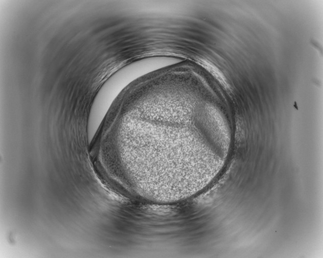 X0000094950849200712201136