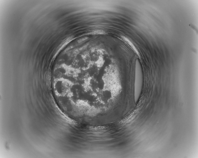 X0000094950851200712201136