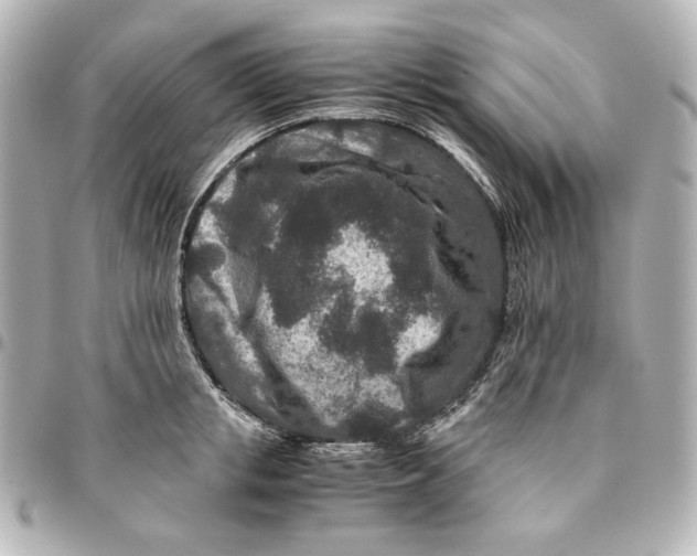 X0000094950853200712201136