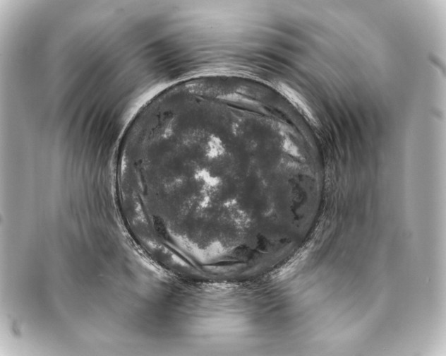 X0000094950854200712201136