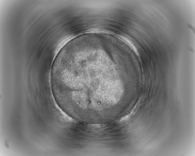 X0000094950855200712201136