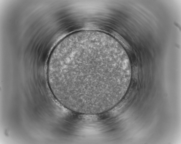 X0000094950856200712201136