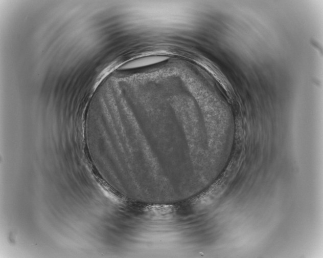 X0000094950858200712201136