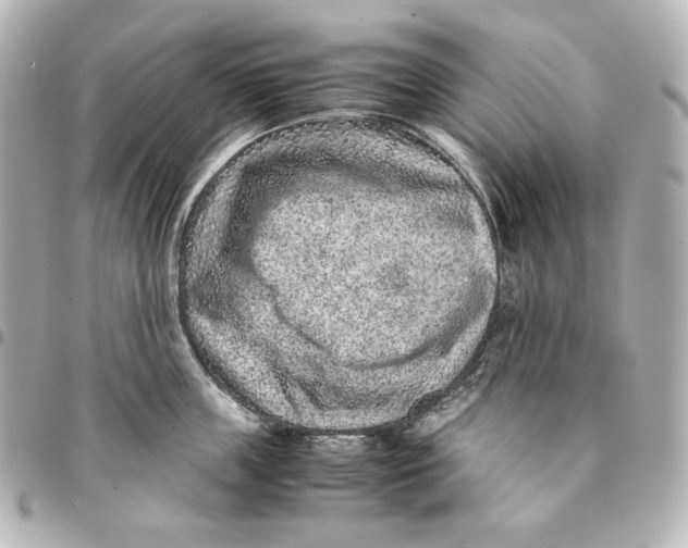 X0000094950859200712201136