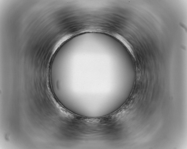 X0000094950861200712201136