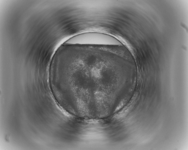 X0000094950862200712201136