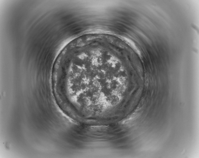 X0000094950863200712201136