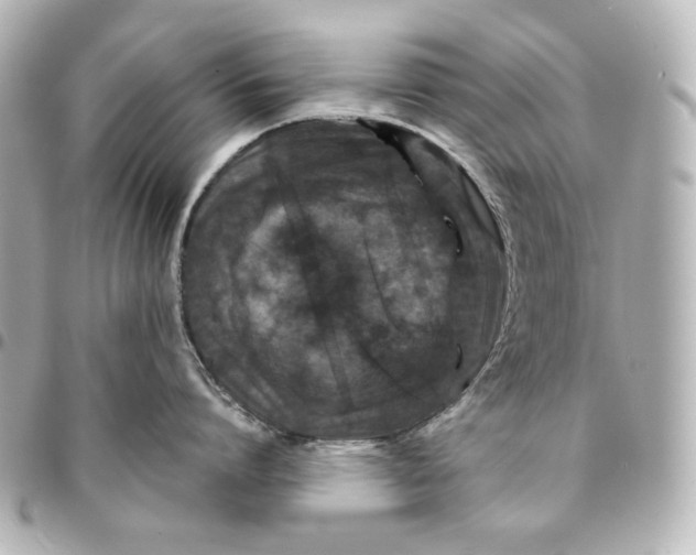 X0000094950864200712201136