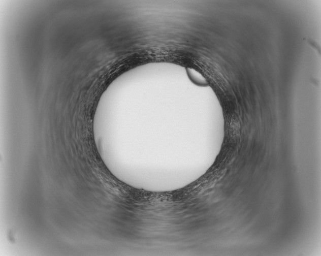 X0000094950865200712201135