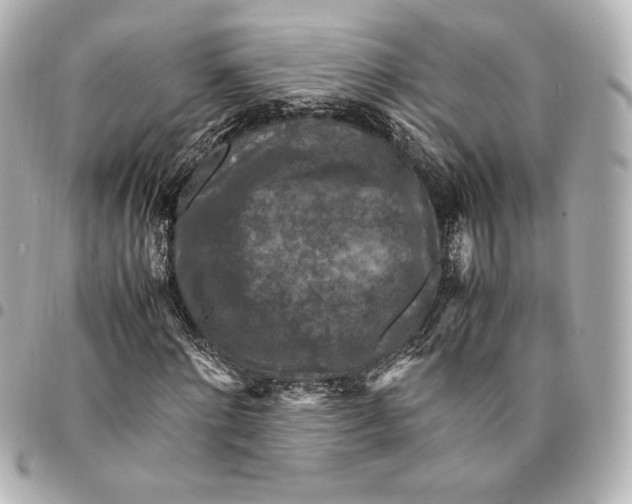 X0000094950868200712201135