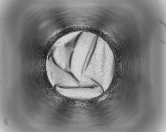 X0000094950870200712201135