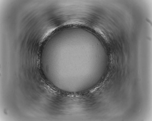 X0000094950872200712201135