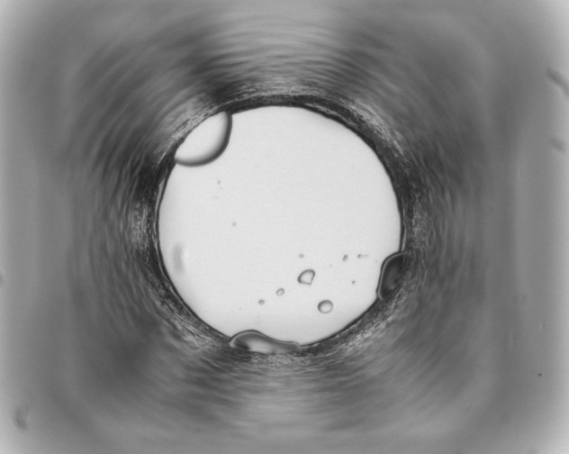 X0000094950873200712201135