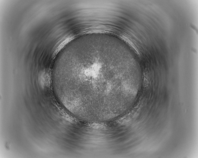 X0000094950874200712201135