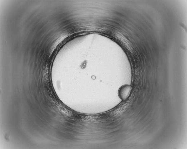 X0000094950875200712201135