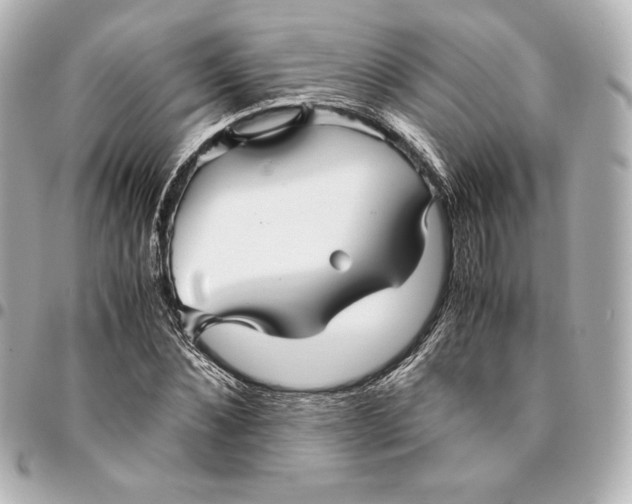 X0000094950876200712201135