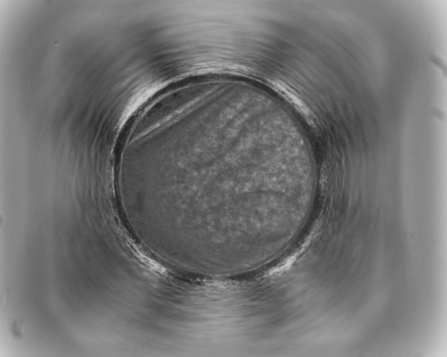 X0000094950877200712201135