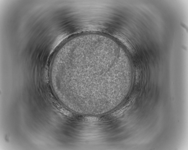 X0000094950878200712201135