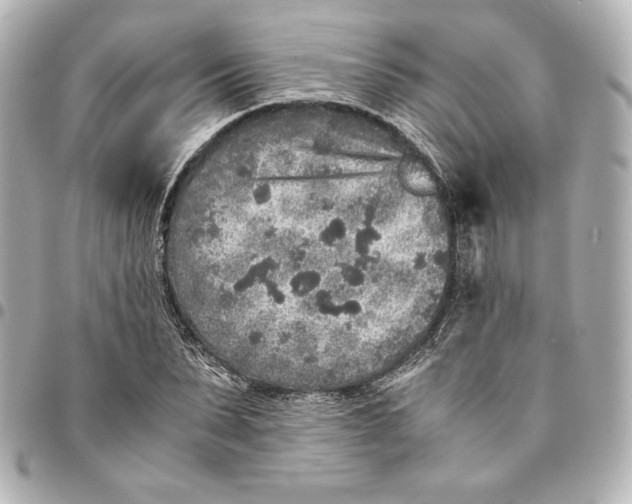 X0000094950879200712201135