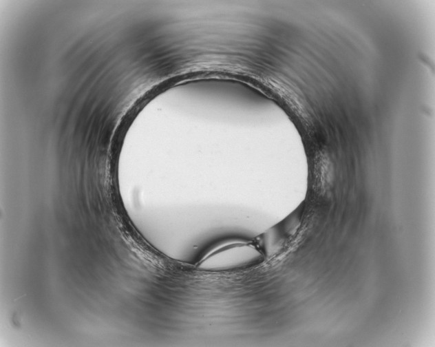 X0000094950880200712201135