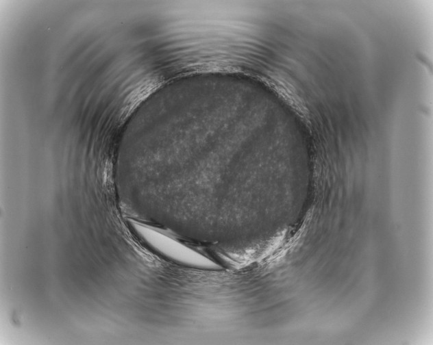 X0000094950881200712201135