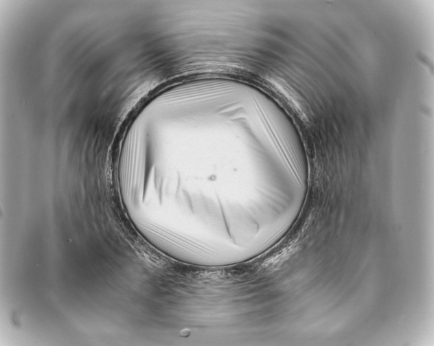 X0000094950883200712201135