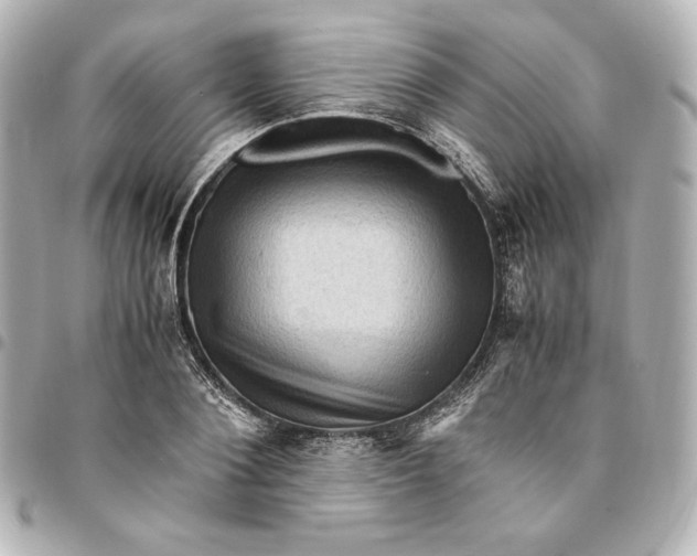 X0000094950884200712201135