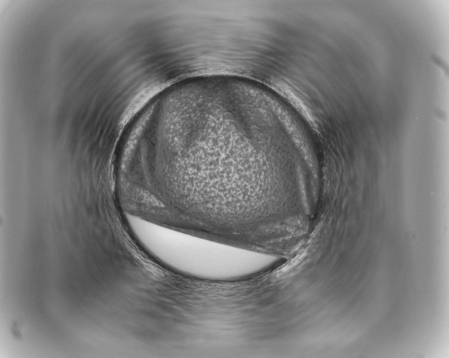 X0000094950885200712201135