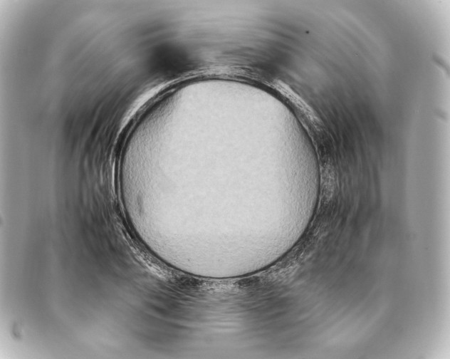 X0000094950886200712201135