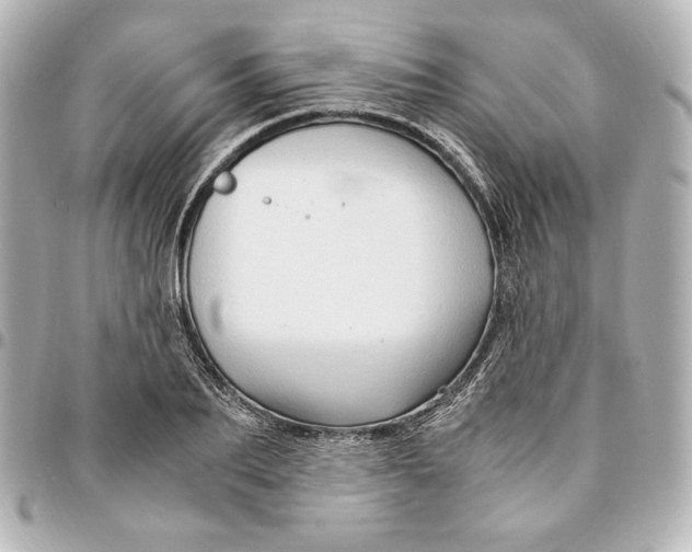 X0000094950887200712201135