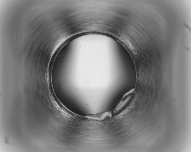 X0000094950888200712201135