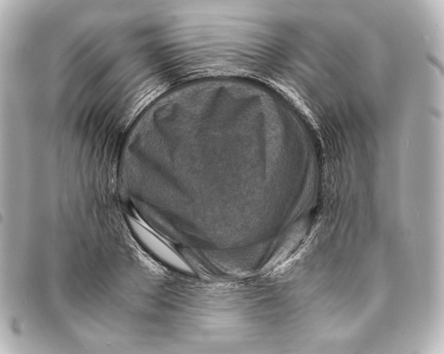 X0000094950889200712201135