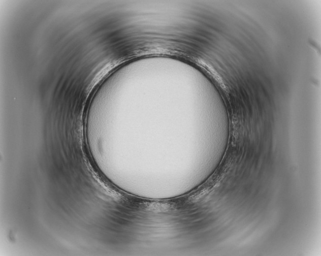 X0000094950890200712201135