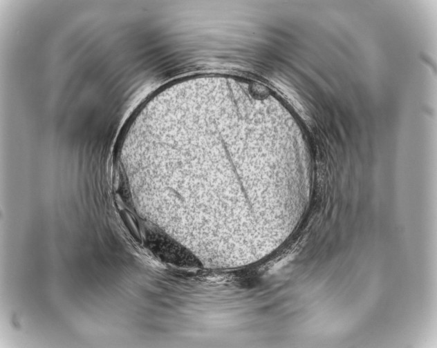 X0000094950891200712201135