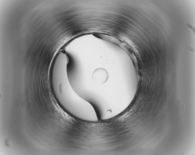 X0000094950892200712201135