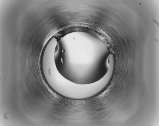 X0000094950893200712201135