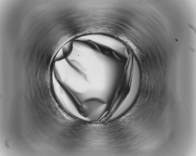 X0000094950894200712201135