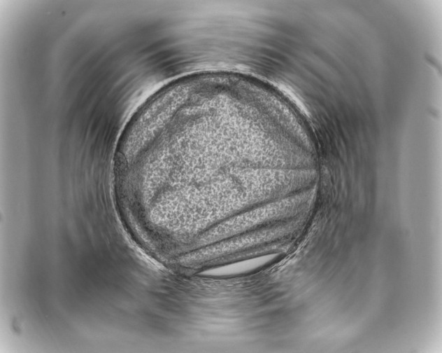 X0000094950895200712201135