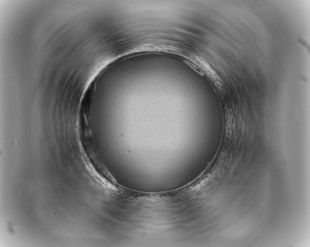 X0000094950896200712201135