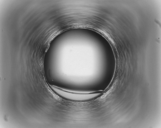 X0000094950897200712201135